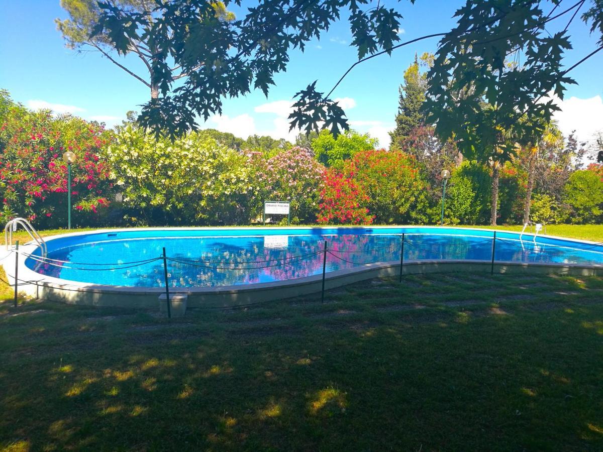 Apartment Darina - Immobiliare Azzurra *